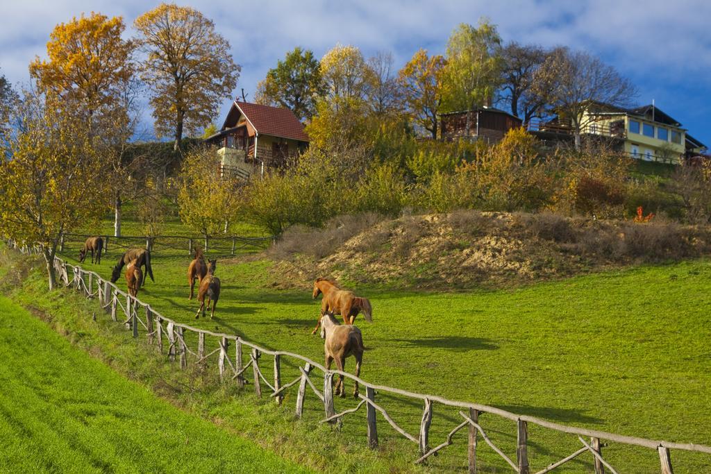 Country House Na Malenom Brijegu Bjelovar Quarto foto